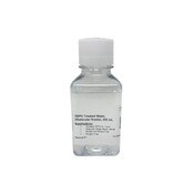 Water, DEPC-Treated, 250 mL